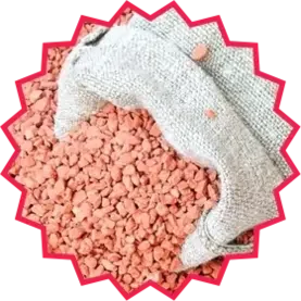 Imagem Super Green Black 14